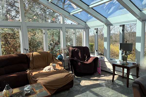 House sit in Ringwood, NJ, US