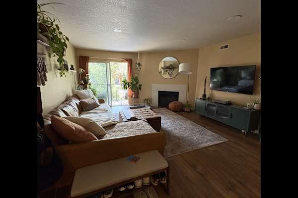 House sit in Lakewood, CO, US