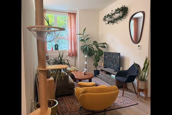 House sit in Brooklyn, NY, US