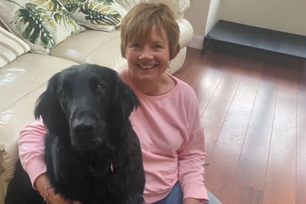 House sit in Epsom, United Kingdom