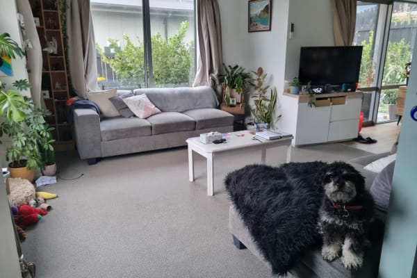 House sit in Porirua, New Zealand