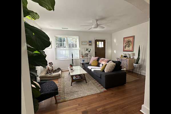 House sit in Savannah, GA, US