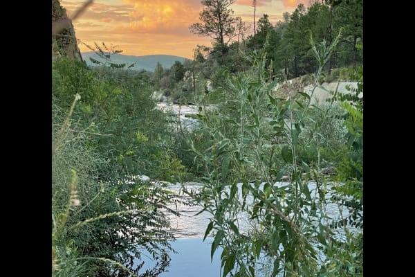 House sit in Prescott Valley, AZ, US