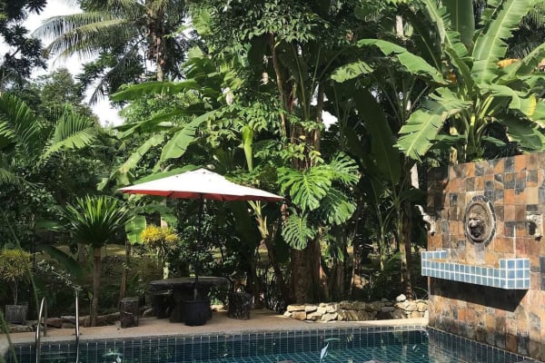 House sit in Phuket, Thailand