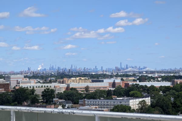 House sit in Rahway, NJ, US