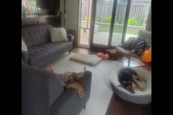 House sit in Encinitas, CA, US