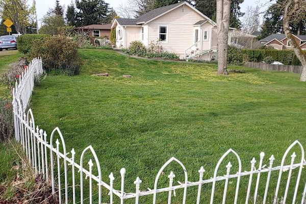 House sit in Kirkland, WA, US