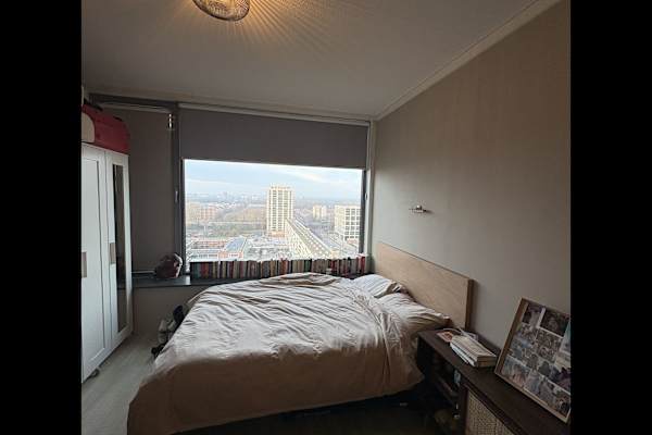 House sit in Amsterdam, Netherlands