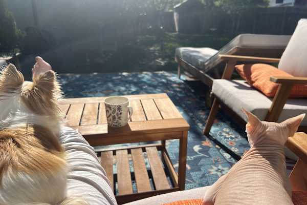 House sit in Aspen, CO, US