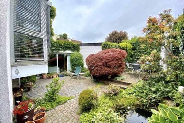House sit in Frankfurt am Main, Germany