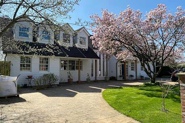 House sit in West Malling, United Kingdom