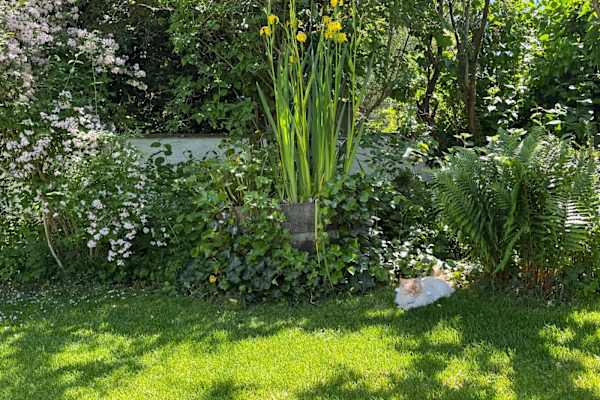 House sit in Munich, Germany