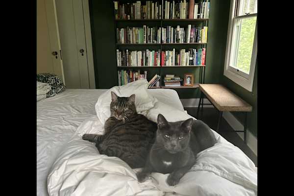 House sit in Los Angeles, CA, US