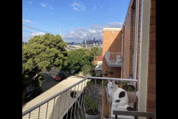 House sit in Yarraville, VIC, Australia