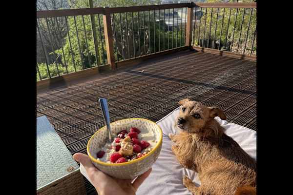 House sit in Baildon, United Kingdom