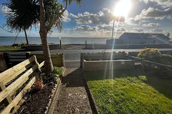 House sit in Newtownards, United Kingdom