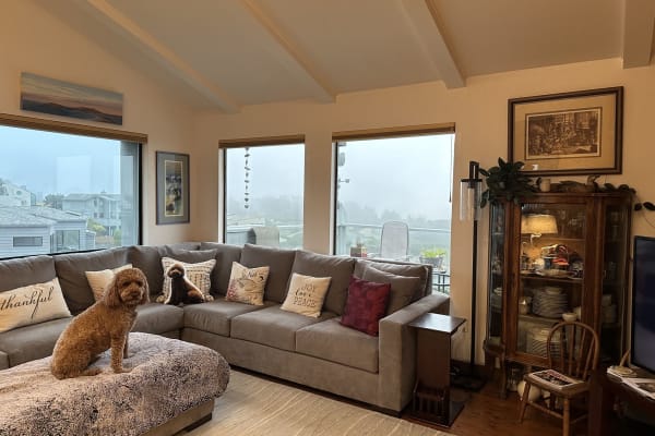 House sit in Bodega Bay, CA, US