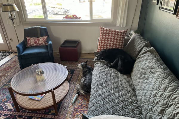 House sit in Colorado Springs, CO, US