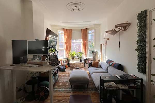 House sit in Scheveningen, Netherlands