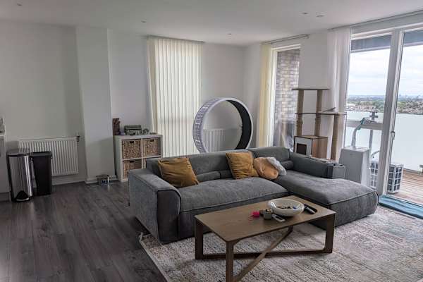 House sit in London, United Kingdom