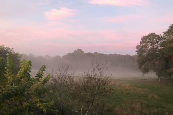 House sit in Sauternes, France