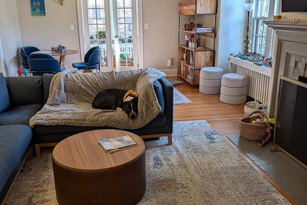 House sit in West Hartford, CT, US