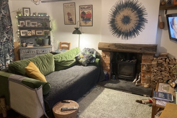 House sit in Frome, United Kingdom