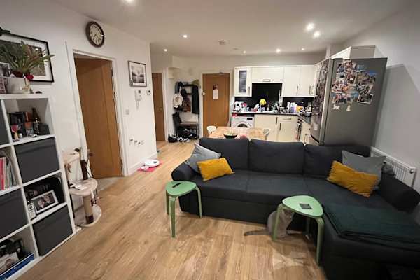 House sit in Streatham, United Kingdom