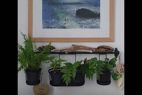 House sit in Ilfracombe, United Kingdom
