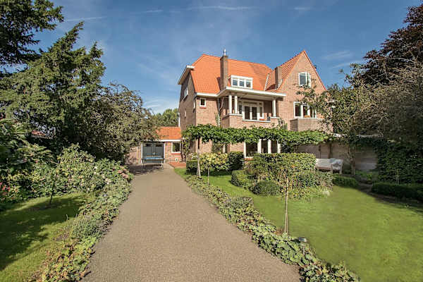 House sit in Haarlem, Netherlands