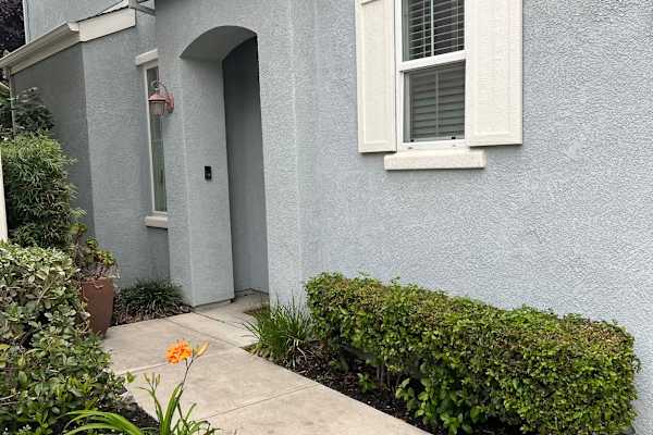 House sit in Pacheco, CA, US