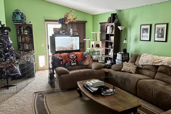 House sit in Gilbert, AZ, US