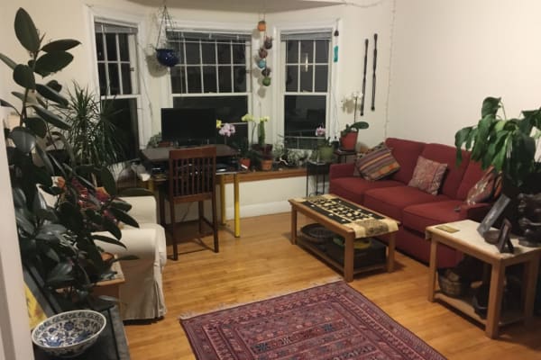 House sit in San Francisco, CA, US