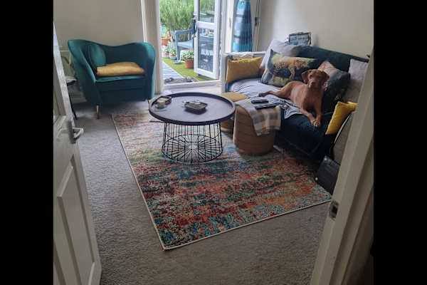 House sit in Golders Green, United Kingdom