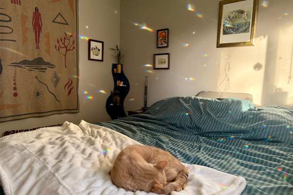 House sit in Arcata, CA, US