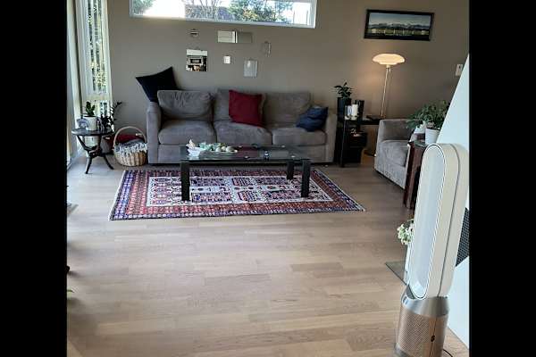 House sit in Stavanger, Norway
