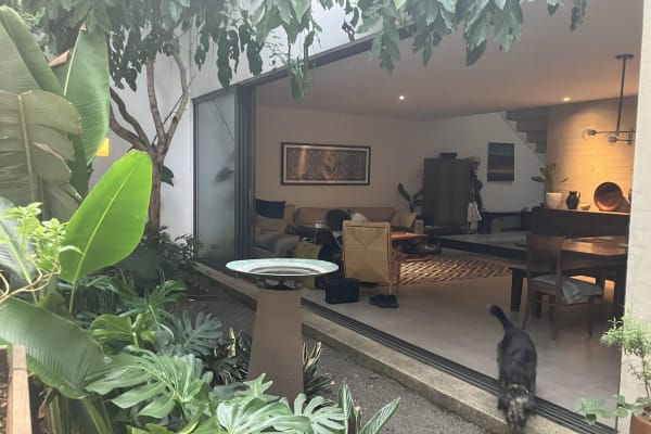 House sit in Guadalajara, Mexico