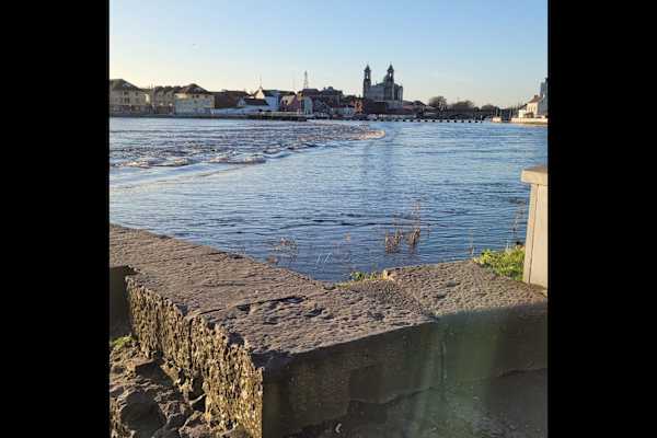 House sit in Athlone, Ireland