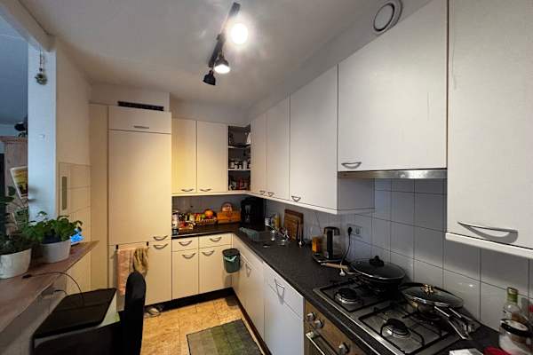 House sit in Grave, Netherlands