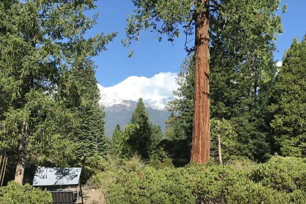 House sit in Mount Shasta, CA, US