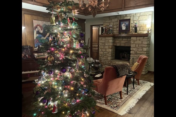 House sit in Edmond, OK, US