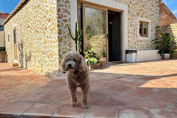 House sit in Ericeira, Portugal