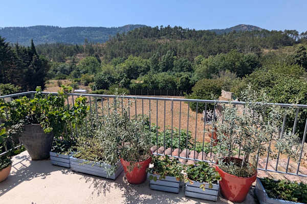 House sit in Arques, France