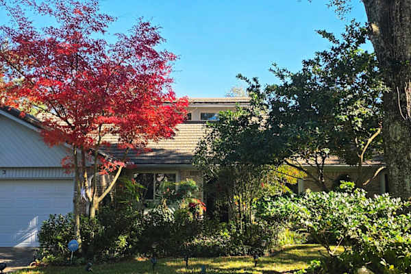 House sit in Destin, FL, US