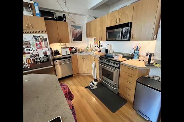House sit in Oak Harbor, WA, US