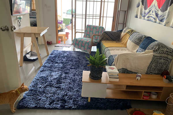 House sit in Phuket, Thailand