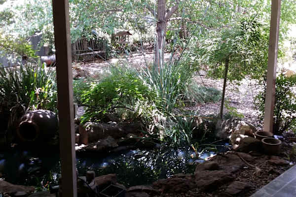House sit in Nowra, NSW, Australia