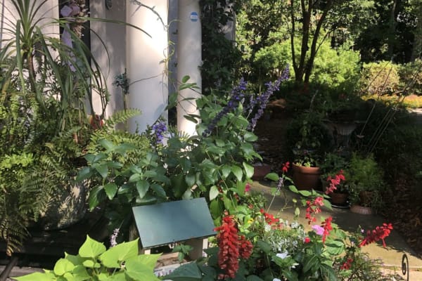 House sit in Hilton Head, SC, US
