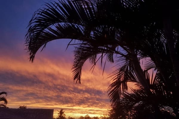 House sit in Gold Coast, QLD, Australia