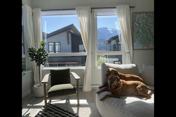 House sit in Squamish, BC, Canada